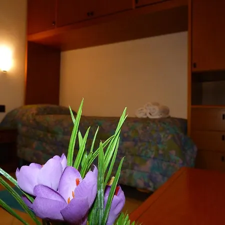 Bed & Breakfast Il Tulipano 3*