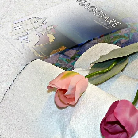 Il Tulipano 3* 크로토네