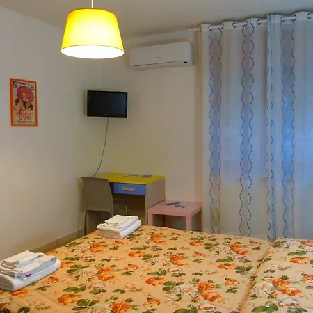 Il Tulipano